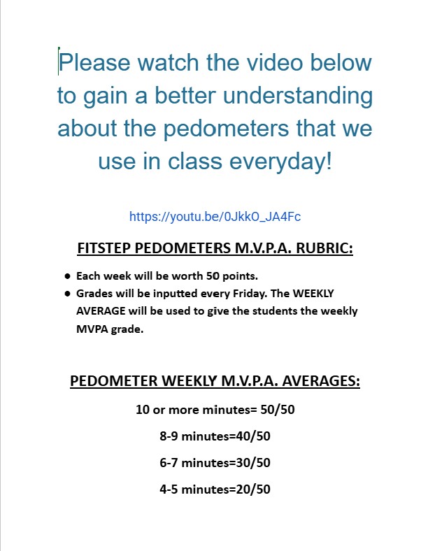 Gopher FitStep Pedometers